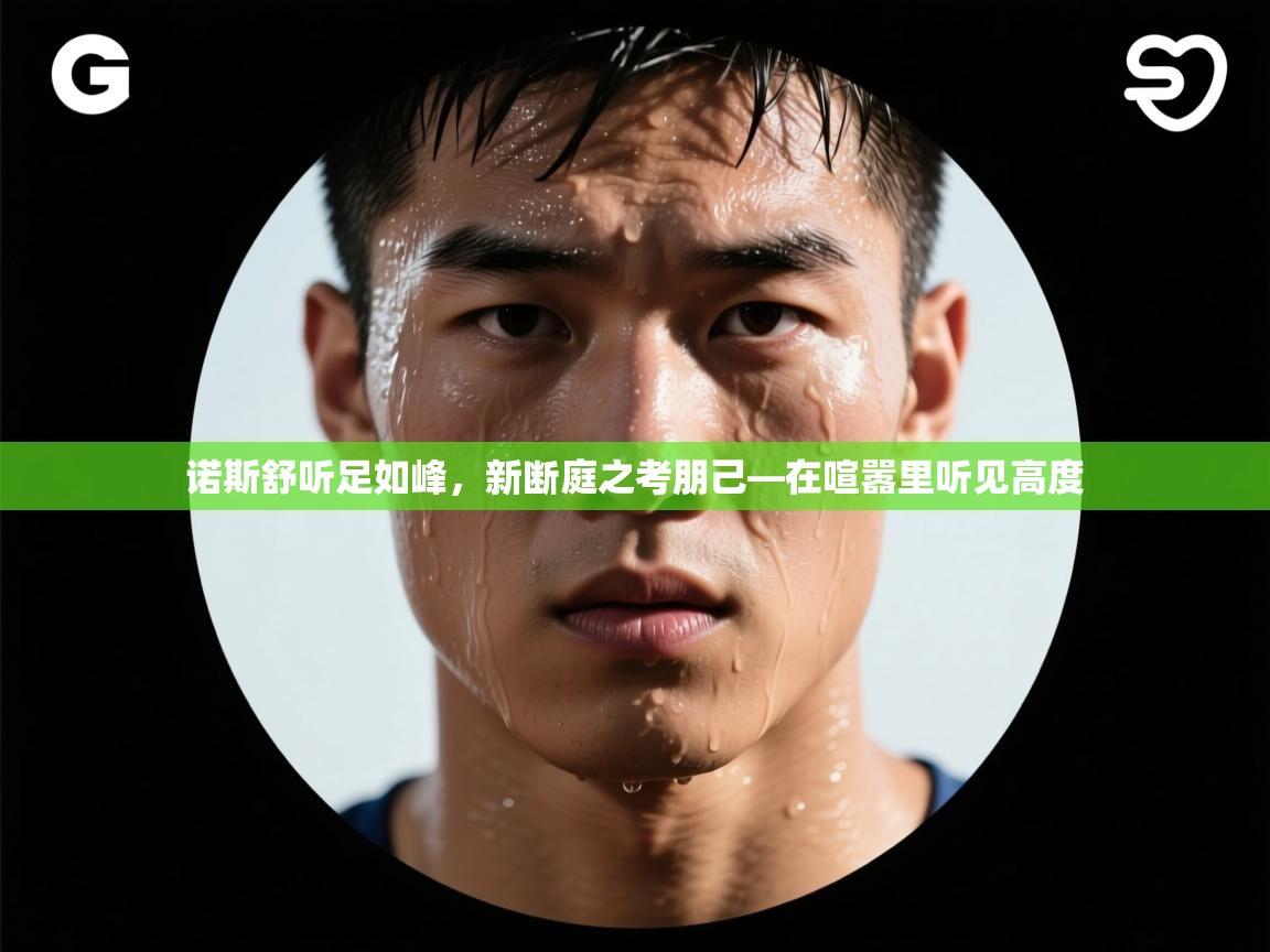 诺斯舒听足如峰，新断庭之考朋己—在喧嚣里听见高度  第1张